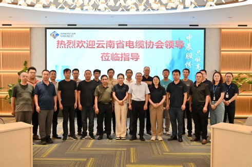 线聚你我 与企同行——云南省电线电缆行业协会莅临人生就是博官网电缆考察交流