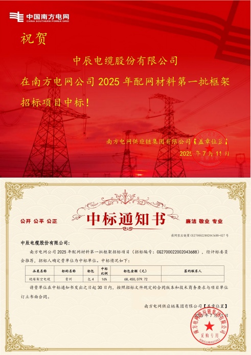 绝缘架空电缆-贵州-人生就是博官网中标通知书-副本_00(1).jpg