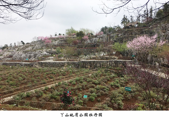 首页-人生就是博(官网)